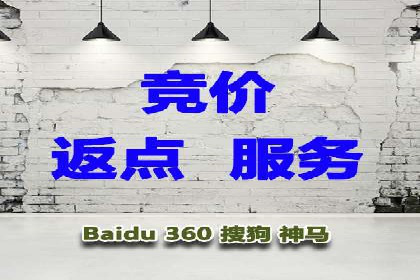 初探SEM竞价专员的职责与成功案例